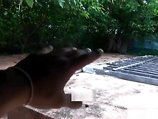 Babe adores erected schlongs