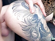 Mydirtyhobby - hot car sex xxx