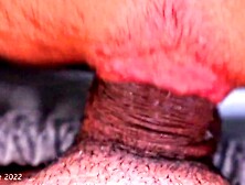 Gay Is Fucked In The Butt In A Close-Up Sex Video