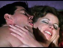 Anthony Spinelli Classics