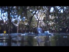 Drowning Compilation 5