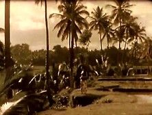 Darksome Lantern Entertainment presents 'Vintage Chicks Of The World' from My Secret Life,  The Erotic Confessions of a Victorian