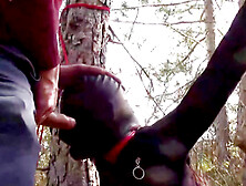 Tied To A Tree Rammed In Her Throat