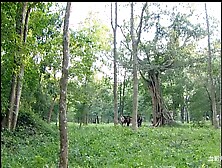 The guy was shot with a crossbow