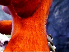 Large Minotaur bang fur Fox Lady and Tiger Lady in trio - oral-job, facial and joy