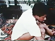 Short Hair Cougar With Black Panther