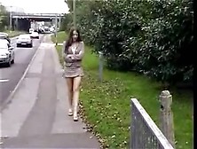 Chick Peeing On The Ground Outdoor