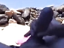 Beach Hunters Amateurs Beach Sex