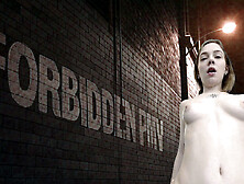 Forbidden 2. 0 - PMV (VR Music Video By Fap VR)