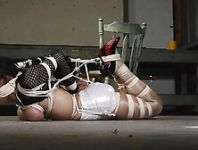 Another Great Hogtie 3