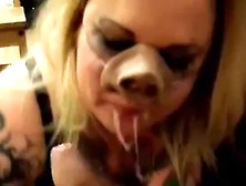 Pig Giving Blowjob