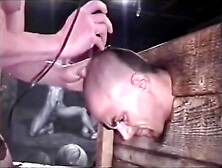 Bound Slave Shaved Bald