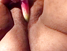 Bbw Solo Masturbation