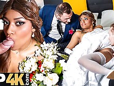 Cunning Stanley's hard action