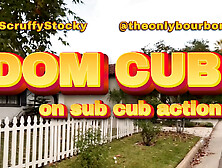 Dom Cub On Sub Action