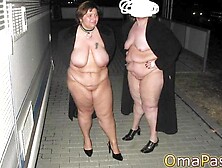 OMAPASS Hairy old pussies experience dicks penetrations