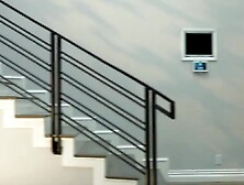 Sultry Seduction Aaliyah Love and Two Alpha Males Unleash Their Wild desires