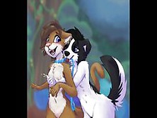 Best Furry Yiff Compilation - Fluffkevlar,  Twistedscarlett60,  Burgerkiss & More!