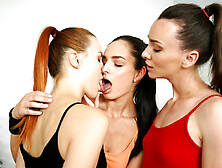 Oily-Lesbians-Leanne-Lace-Charlie-Red-And-Adel-Morel-Fucking-In-The-Gym