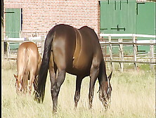 Junge Naturvebundenes Teen Mastubiert Gerne Im Freien