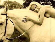 Antique Taboo, Cunny & Pooch