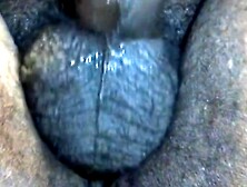 Black Fatdaddy Drains His Big Juicy Balls Milk Out