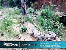 Pissed Off Crocodile Gets Revenge