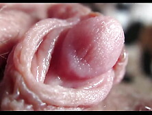 Enormous clit climax closeup HD