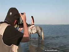 Cute Girl Rides Horse In The Nature