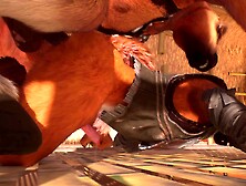 Wildlife - Horse Fucking With A Twink Foxy - Yaoi Furry Yiff