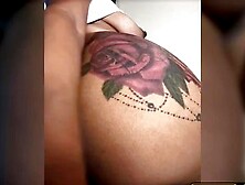 Big Boobs Ass Belly Bella