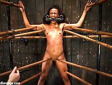 Young Dark-Skinned Captive Gets Tortured In Various Ways