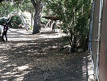 Girl Gets Her Ball From The Neighbor And Gets A Good Balling