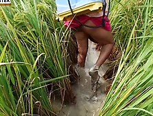 Village Nomita Spray On Rice Plants Bengali Audio Dirty