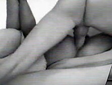 Wet Gaping Ass To Mouth Threesome