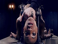 Ebony In Device Bondage Gets Anal Toyed