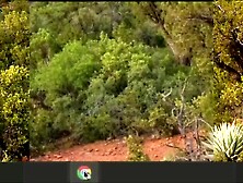 Picture This Pov 69 Bottom Wang Precum Leak Tea Bag Close Up Express