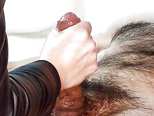 I massage his big balls swollen with cum and give him a handjob before going to work! Amateur - Cumshot