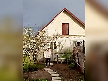 I like how the cherry blossoms