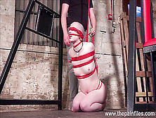 Bald Eryn Rose Suspension Bondage Whipping