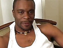 Xena Is a American Chocolate