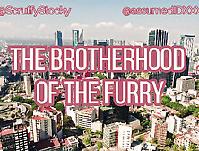 The Brotherhood Of The Furry