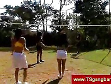 Sport Trannies Playing Volleyball