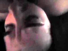 (Rotated ) Kittens cum drinking training!