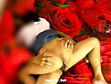 School girl Hamster ball in a hot desi fantasy