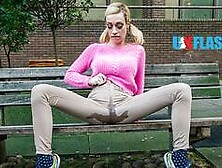 Lassie just pissed herself and went on a bus ride!