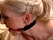 Huge Tits Blonde Takes Dick On A Stick With Christie Stevens