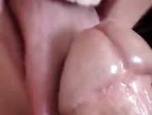 Up Close Blowjob