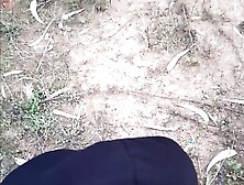 safadeza na floresta