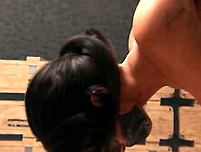 Tomb Raider loses his mission